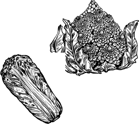 Иллюстрация к книге — Опровергая мифы о медицине. Вся правда о нашем организме [i_097.jpg]