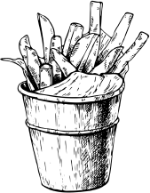 Иллюстрация к книге — Опровергая мифы о медицине. Вся правда о нашем организме [i_099.jpg]