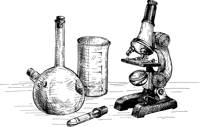 Иллюстрация к книге — Опровергая мифы о медицине. Вся правда о нашем организме [i_101.jpg]