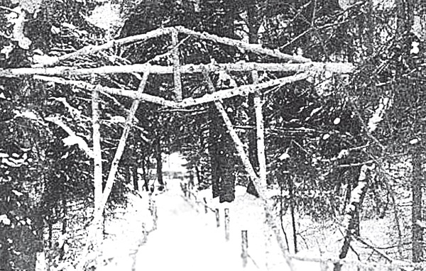 Иллюстрация к книге — Мятежный Петербург. Сто лет бунтов, восстаний и революций в городском фольклоре [i_047.jpg]