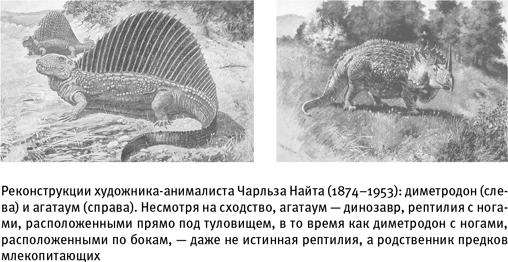 Иллюстрация к книге — Путеводитель зоолога по Галактике. Что земные животные могут рассказать об инопланетянах – и о нас самих [i_007.jpg]