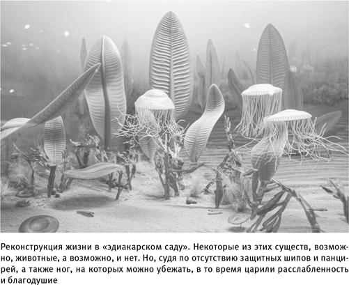 Иллюстрация к книге — Путеводитель зоолога по Галактике. Что земные животные могут рассказать об инопланетянах – и о нас самих [i_009.jpg]