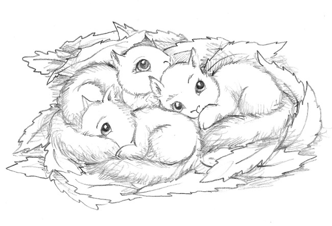 Иллюстрация к книге — Бельчонок Софи, или Осторожно, драконы! [i_006.jpg]