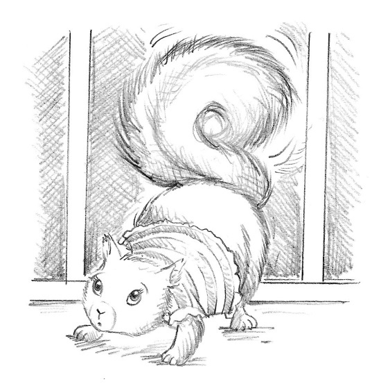 Иллюстрация к книге — Бельчонок Софи, или Осторожно, драконы! [i_021.jpg]