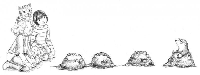 Иллюстрация к книге — Бельчонок Софи, или Осторожно, драконы! [i_023.jpg]