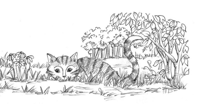 Иллюстрация к книге — Бельчонок Софи, или Осторожно, драконы! [i_042.jpg]