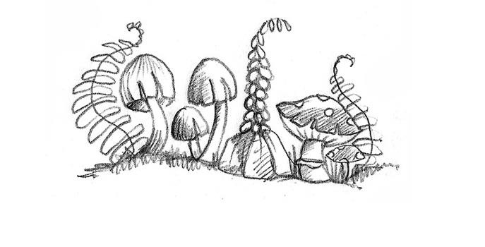 Иллюстрация к книге — Бельчонок Софи, или Осторожно, драконы! [i_045.jpg]