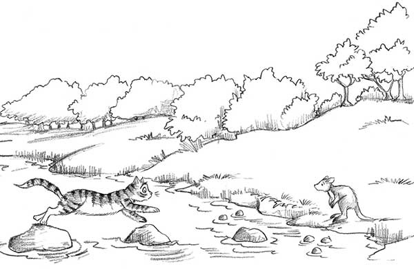 Иллюстрация к книге — Кенгурёнок Полли, или Песня ветра [i_021.jpg]