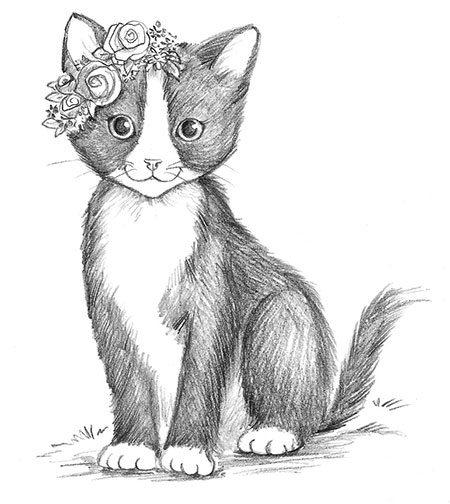 Иллюстрация к книге — Котёнок Джен, или Летающий мяч [i_001.jpg]