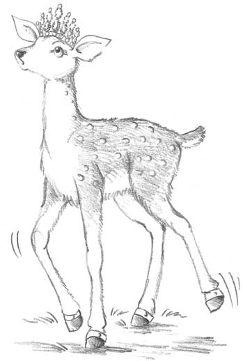 Иллюстрация к книге — Оленёнок Дейзи, или Волшебное копытце [i_028.jpg]