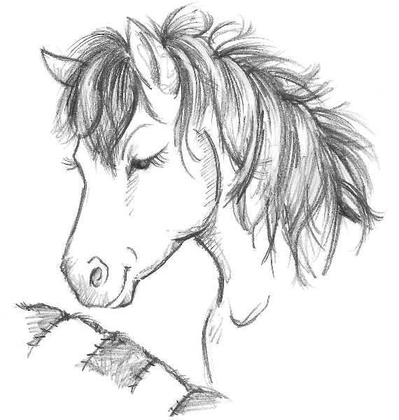 Иллюстрация к книге — Овечка Грейс, или Секретная песня [i_004.jpg]