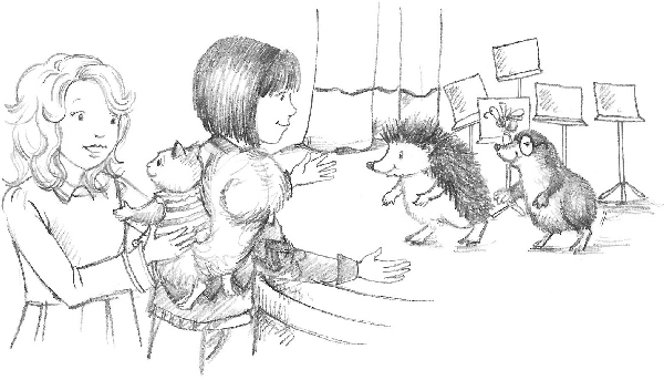 Иллюстрация к книге — Овечка Грейс, или Секретная песня [i_030.jpg]