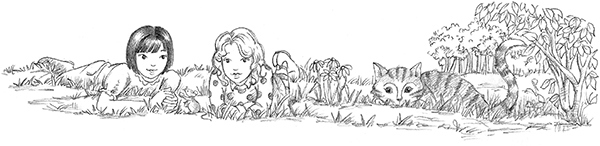 Иллюстрация к книге — Овечка Грейс, или Секретная песня [i_048.jpg]