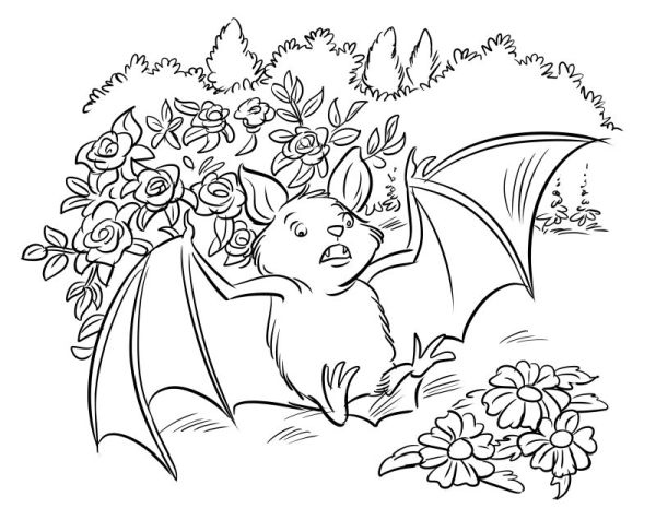 Иллюстрация к книге — Тайна лейки-уменьшайки [i_038.jpg]