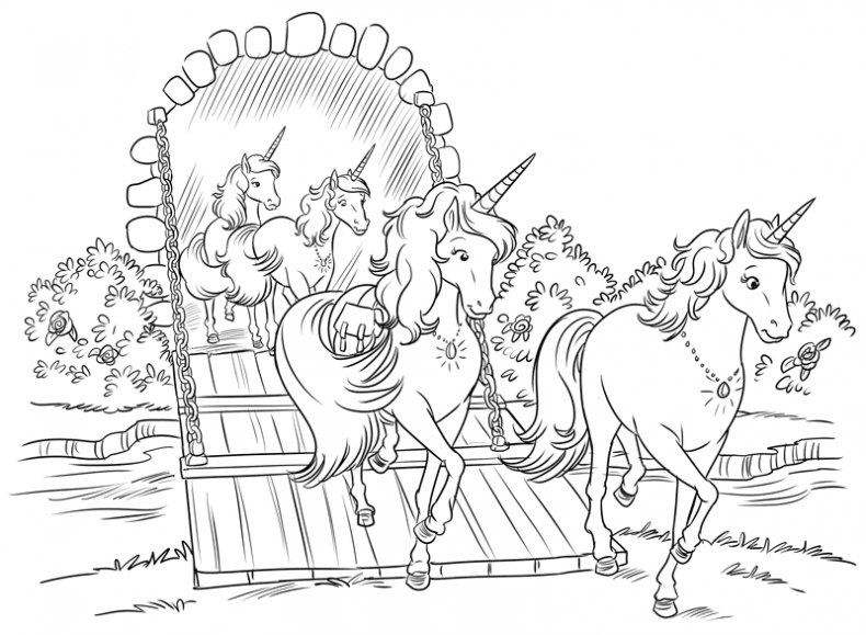 Иллюстрация к книге — Хранительница звёзд [i_012.jpg]