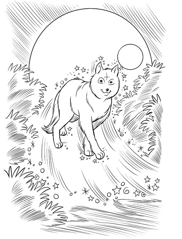 Иллюстрация к книге — Похищение луны [i_020.jpg]