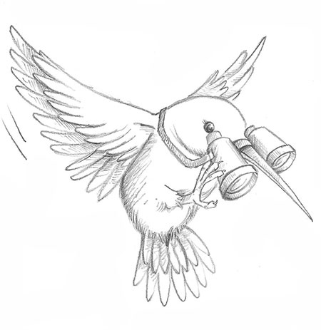 Иллюстрация к книге — Щенок Жасмин, или Золотая молния [i_033.jpg]