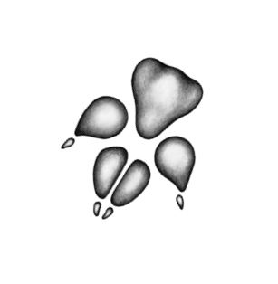 Иллюстрация к книге — Опасная дружба [i_002.jpg]