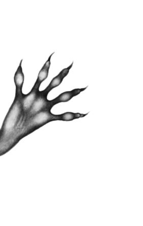 Иллюстрация к книге — Опасная дружба [i_005.jpg]