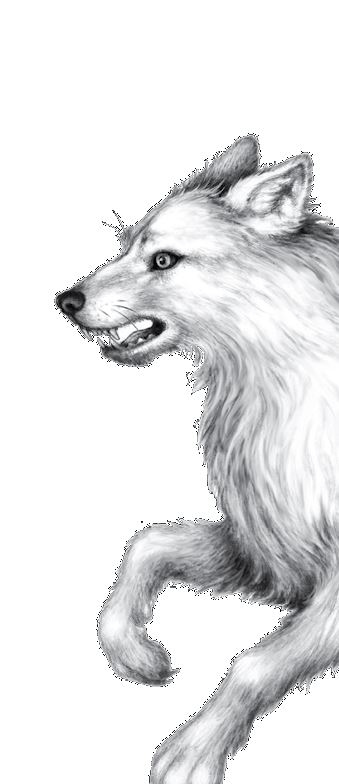 Иллюстрация к книге — Опасная дружба [i_006.jpg]