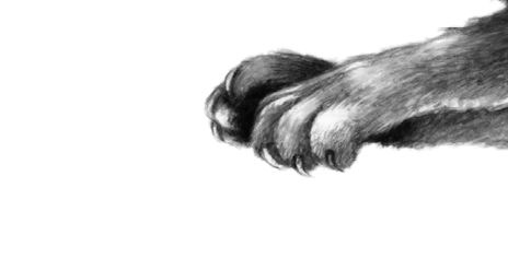 Иллюстрация к книге — Опасная дружба [i_008.jpg]