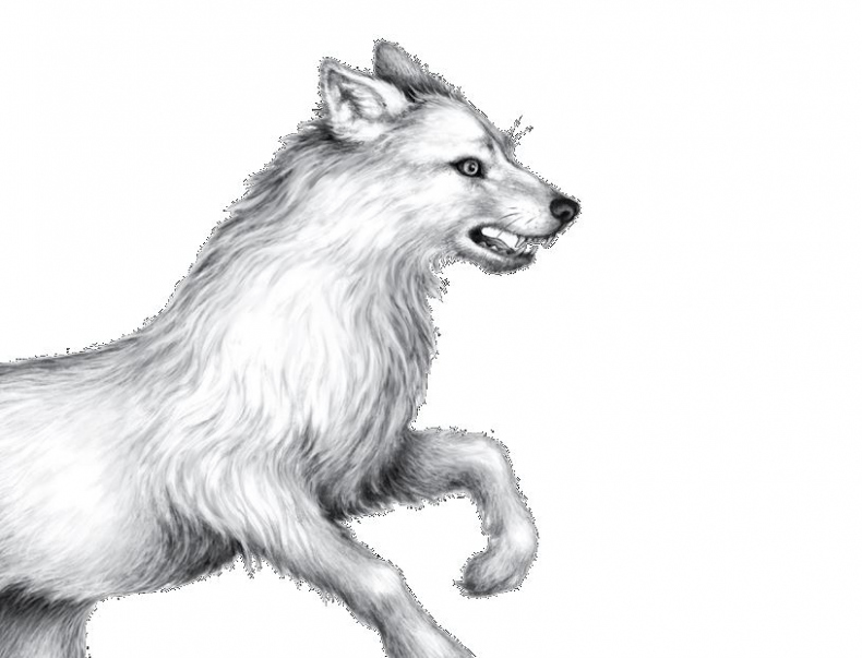 Иллюстрация к книге — Опасная дружба [i_009.jpg]