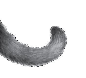 Иллюстрация к книге — Опасная дружба [i_012.jpg]