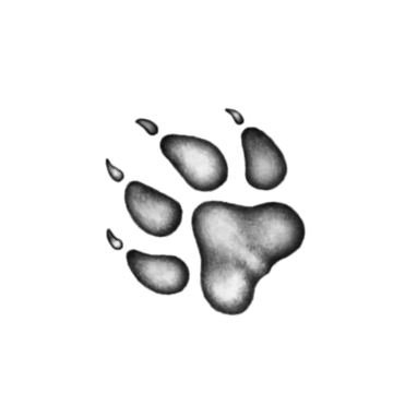 Иллюстрация к книге — Опасная дружба [i_015.jpg]