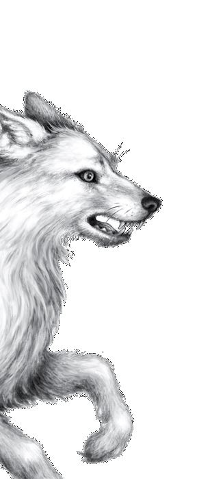 Иллюстрация к книге — Опасная дружба [i_016.jpg]