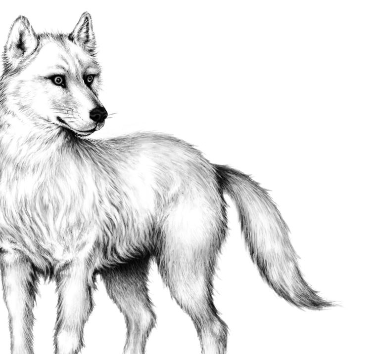 Иллюстрация к книге — Опасная дружба [i_018.jpg]