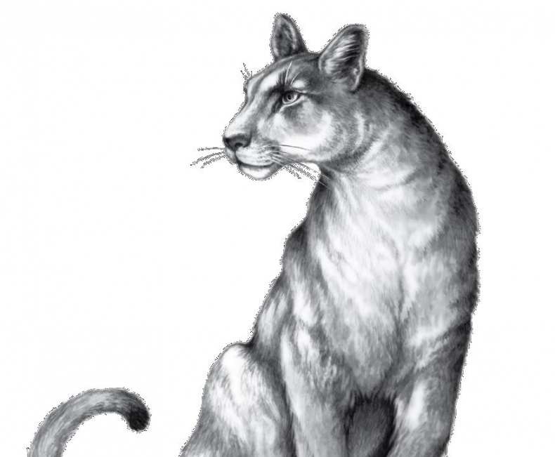 Иллюстрация к книге — Опасная дружба [i_020.jpg]