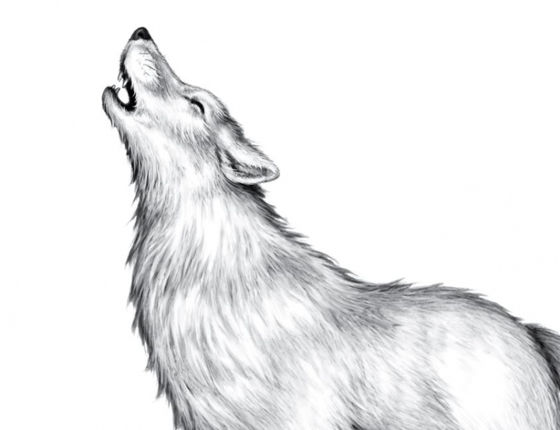 Иллюстрация к книге — Опасная дружба [i_021.jpg]