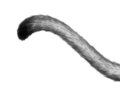 Иллюстрация к книге — Опасная дружба [i_022.jpg]