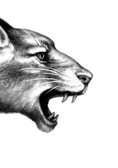 Иллюстрация к книге — Опасная дружба [i_030.jpg]