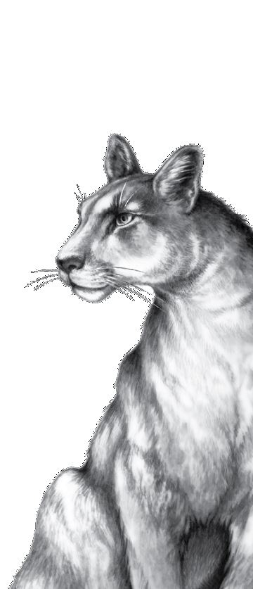 Иллюстрация к книге — Опасная дружба [i_031.jpg]