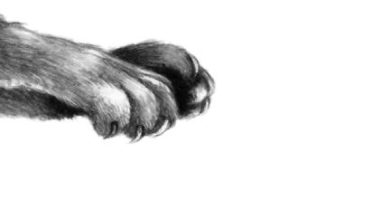 Иллюстрация к книге — Опасная дружба [i_033.jpg]