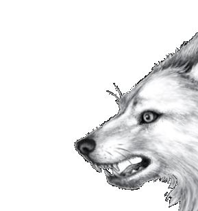 Иллюстрация к книге — Опасная дружба [i_034.jpg]