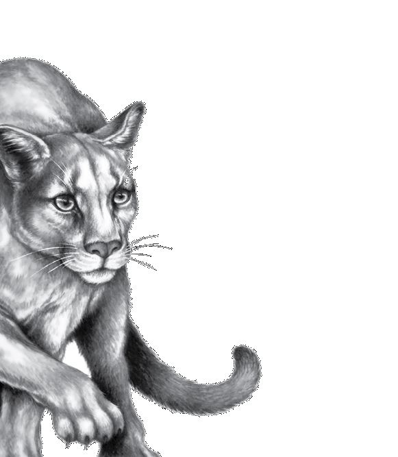 Иллюстрация к книге — Опасная дружба [i_038.jpg]