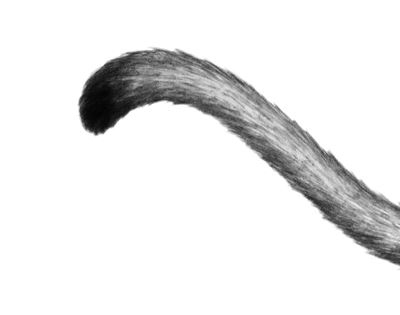 Иллюстрация к книге — Опасная дружба [i_041.jpg]