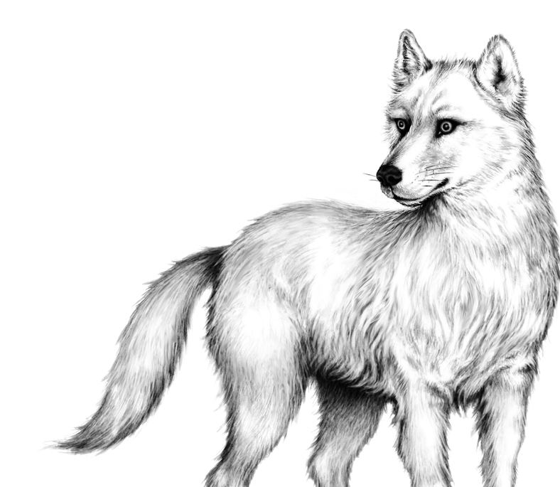 Иллюстрация к книге — Опасная дружба [i_042.jpg]