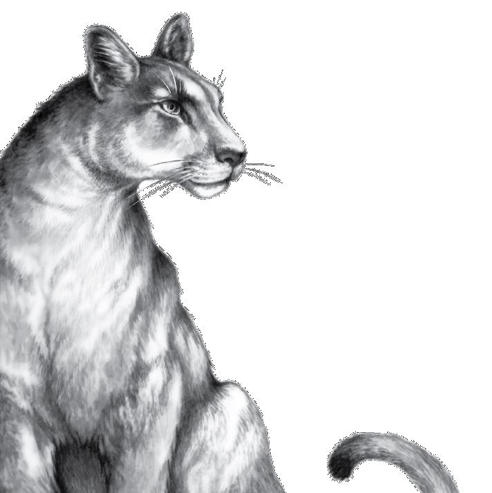 Иллюстрация к книге — Опасная дружба [i_044.jpg]