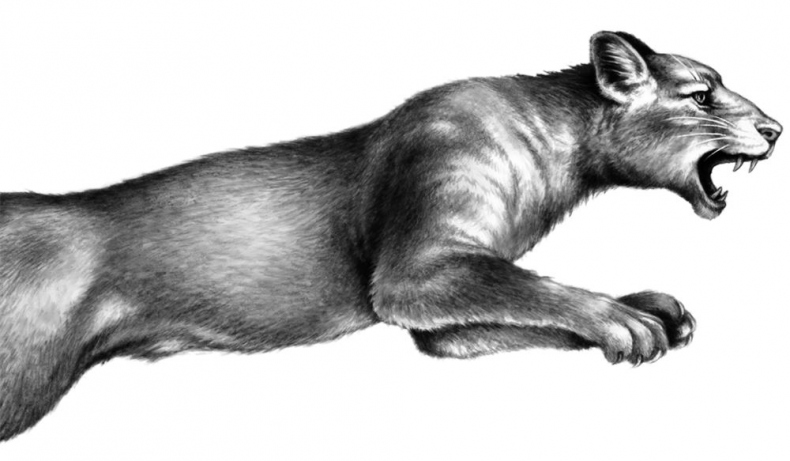 Иллюстрация к книге — Опасная дружба [i_047.jpg]