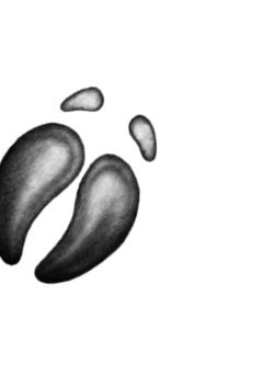 Иллюстрация к книге — Опасная дружба [i_048.jpg]