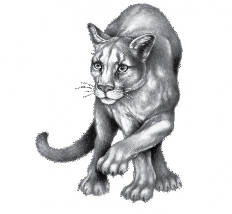 Иллюстрация к книге — Опасная дружба [i_049.jpg]