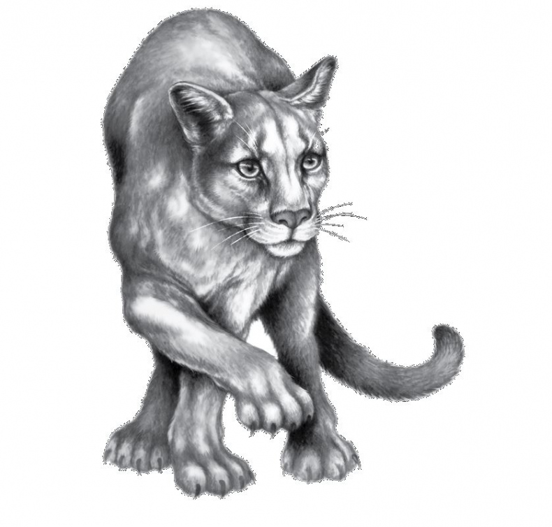 Иллюстрация к книге — Опасная дружба [i_055.jpg]