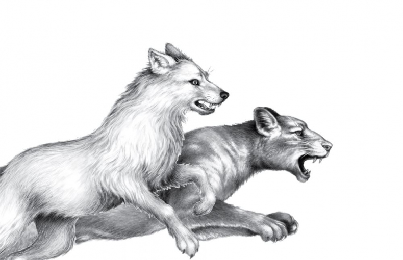 Иллюстрация к книге — Опасная дружба [i_057.jpg]