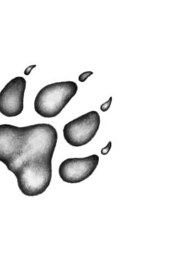 Иллюстрация к книге — Опасная дружба [i_058.jpg]