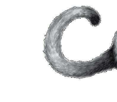 Иллюстрация к книге — Опасная дружба [i_059.jpg]