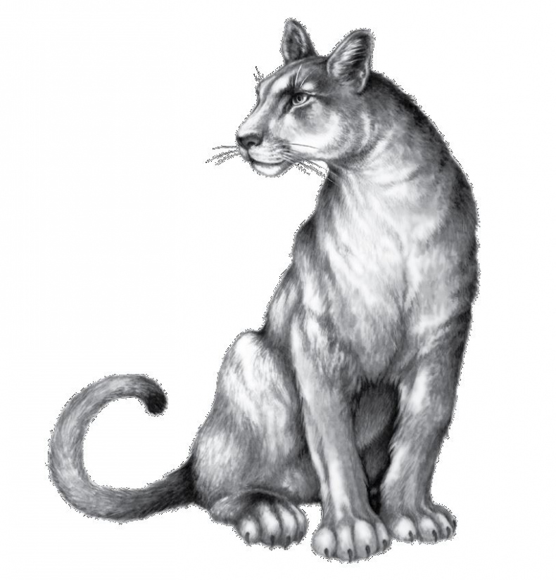 Иллюстрация к книге — Опасная дружба [i_063.jpg]