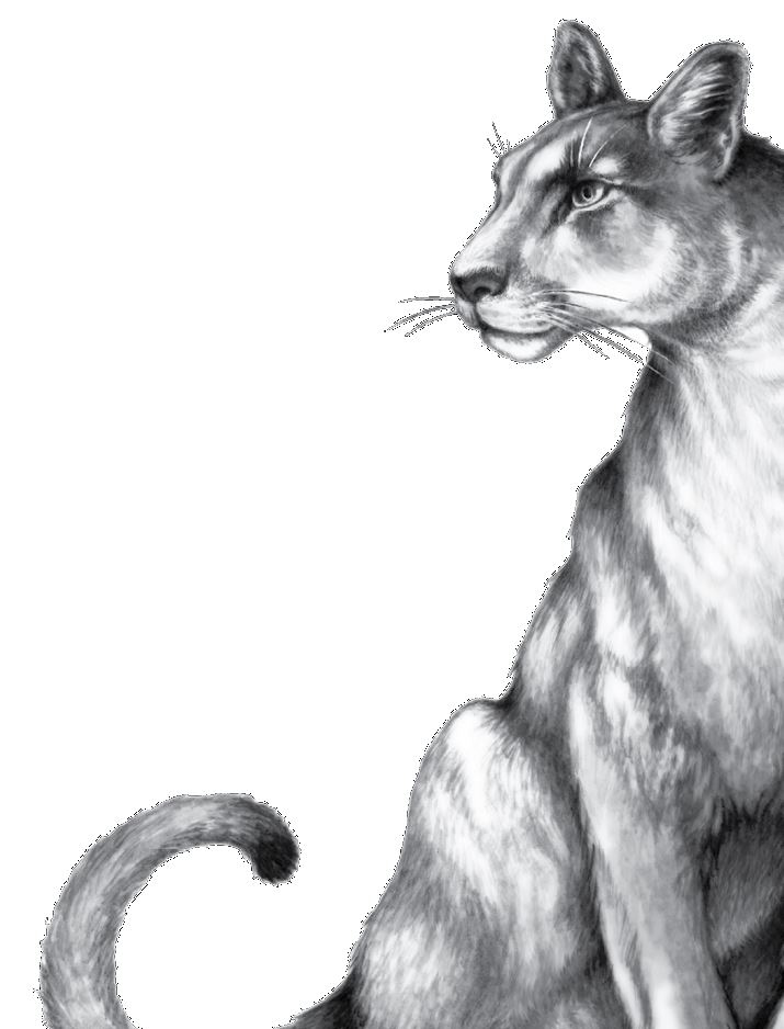 Иллюстрация к книге — Опасная дружба [i_067.jpg]